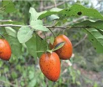 九游体育官网 -W骿?烍4柿冗覉糏屉\藘]d