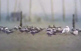 九游网页版入口 -entertainment中文翻译