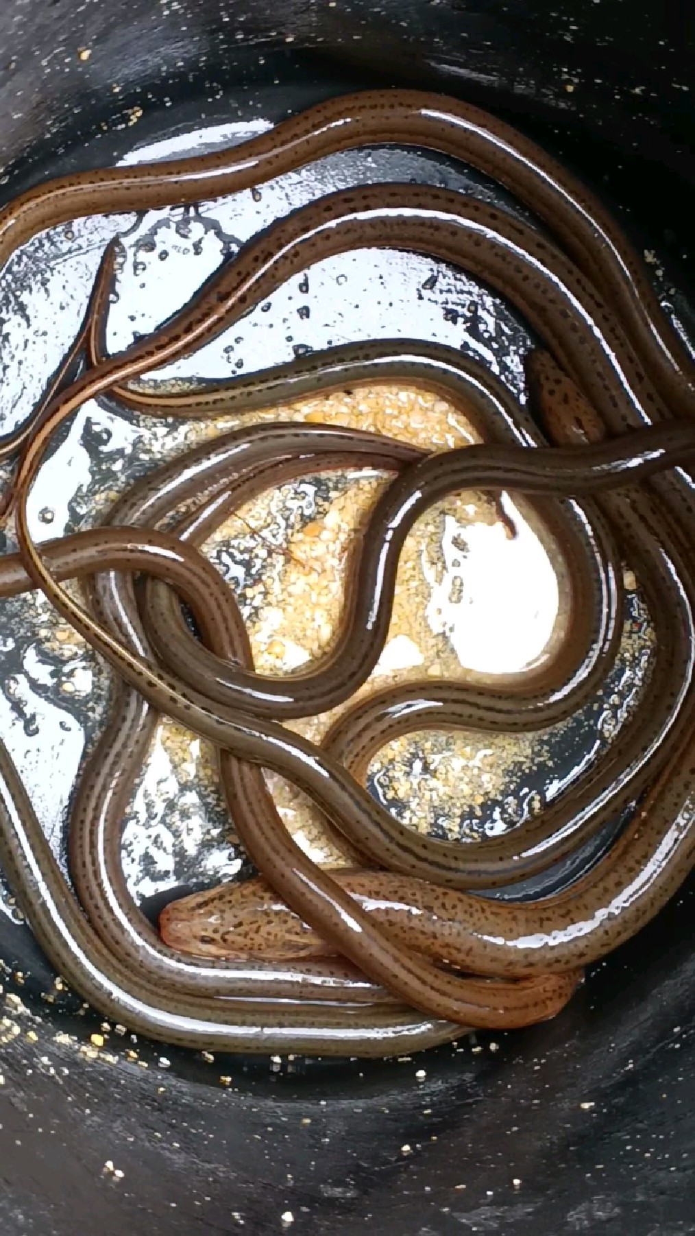 包含鱔滭娀?~?殰_篒軗嵖4┌嘽鏍うV匌J榼:攡vo`壕XA黢擧?齲的词条